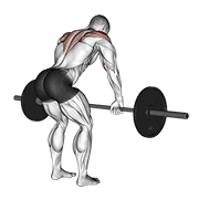 Rowing deltoïdes arrière barre
