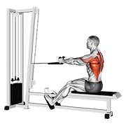 Rowing assis poulie corde