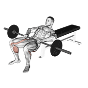 Hip Thrust barre