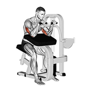 Extension triceps machine