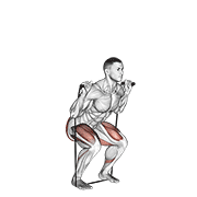 Squat élastique