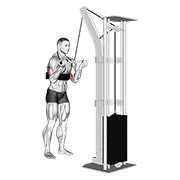 Extension triceps poulie inversée
