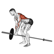 Rowing penché machine