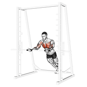 Pompe inclinée prise inversée Smith machine