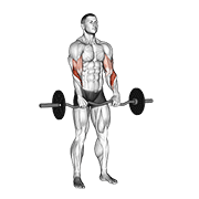 Curl inversé barre EZ