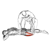 Étirement quadriceps couché assisté