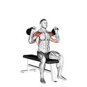 Développé assis kettlebell