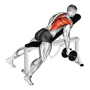 Rowing incliné haltère supination