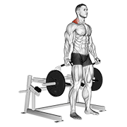Shrug machine debout