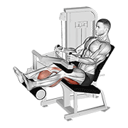 Leg curl assis