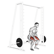 Hack Squat Smith machine