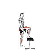 Step-up haltères