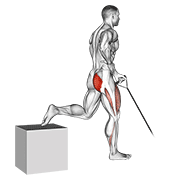 Split Squat élastique un bras