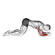 Pompe gainage
