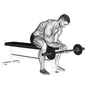 Curl avant bras barre