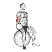 Curl medecine ball sur ballon