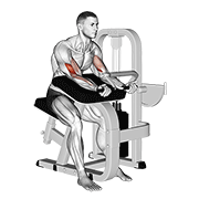 Curl pupitre machine