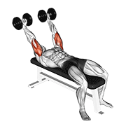 Extension triceps pronation