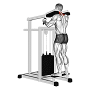 Shrug machine