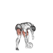 Lancer medecine ball poitrine