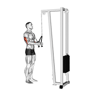 Extension triceps corde