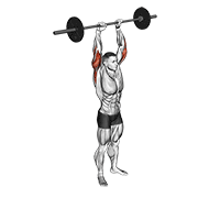 Extension triceps barre debout