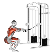 Squat Rowing poulie