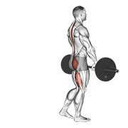 Deadlift une jambe barre