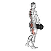 Deadlift unilatéral haltère