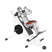 Hack Squat pieds serrés