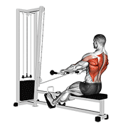 Rowing assis poulie