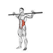 Flexion latérale barre