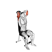 Extension triceps assis haltère