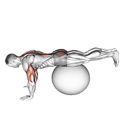 Relevé de jambe sur ballon