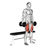 Box Squat haltères