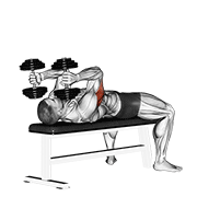 Extension triceps couché haltères
