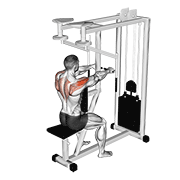 Oiseau machine