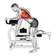 Rowing unilatéral machine