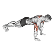 Pompe scapulaire
