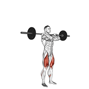 Squat avant barre
