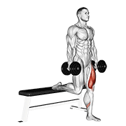 Split Squat haltères