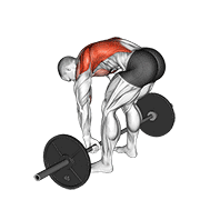 Rowing Pendlay