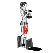 Squat assisté haltère