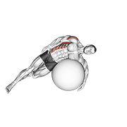 Étirement dorsal sur ballon