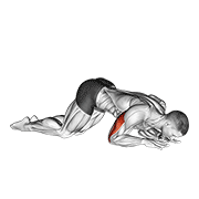 Extension triceps à genoux