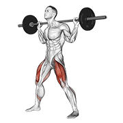 Squat large barre