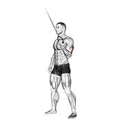 Extension triceps poulie à un bras