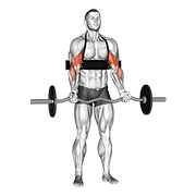 Curl EZ avec arm blaster