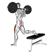 Squat bulgare barre sur banc