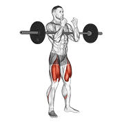 Zercher Squat